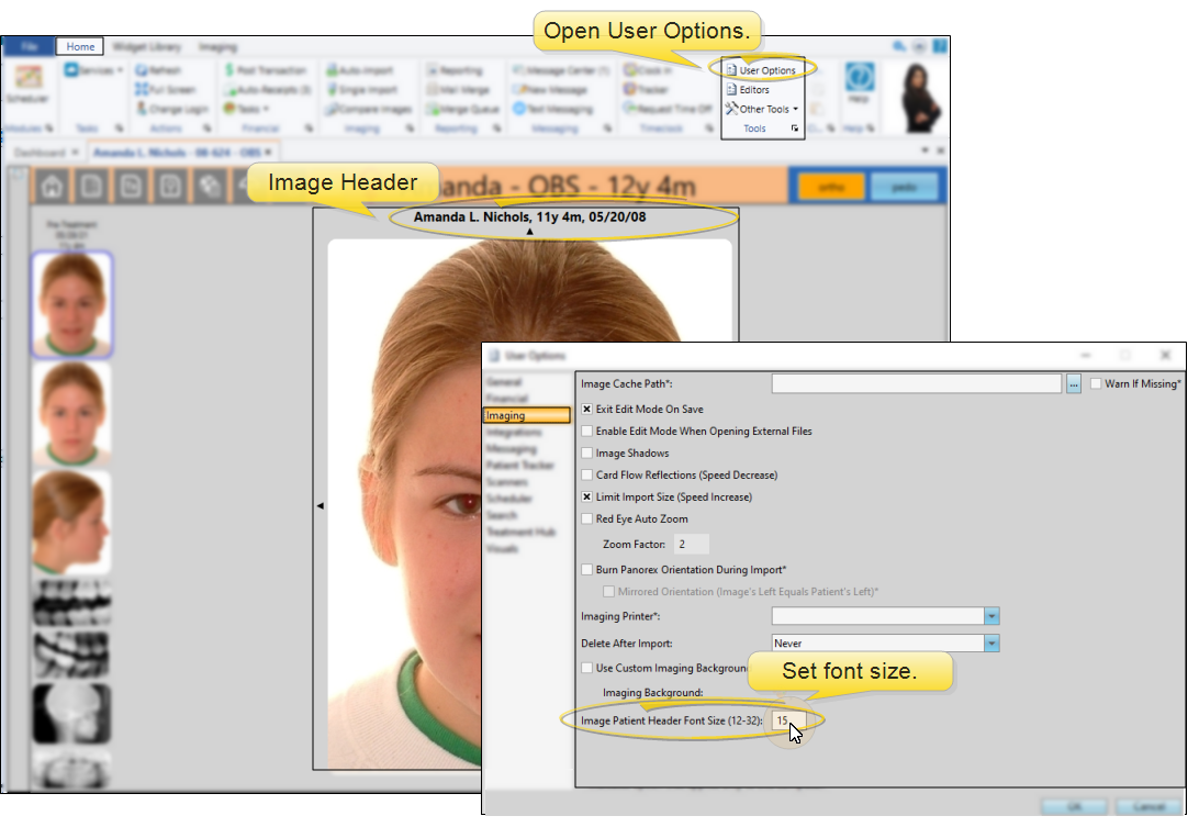 Image header font size